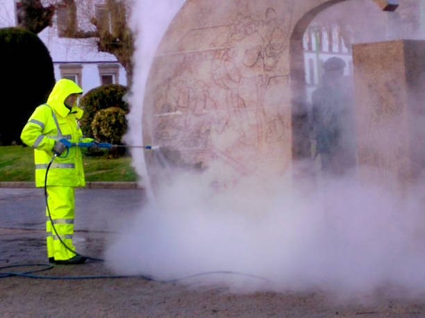 Best Roof Pressure Washing  in Castleton On Hudson, NY